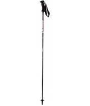 Blizzard Carbon Performance